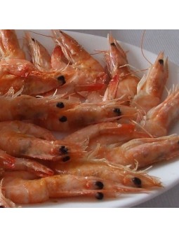 Langostinos a la plancha